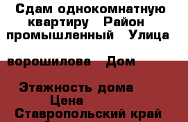 Сдам однокомнатную квартиру › Район ­ промышленный › Улица ­ ворошилова › Дом ­ 10/1 › Этажность дома ­ 5 › Цена ­ 6 500 - Ставропольский край, Ставрополь г. Недвижимость » Квартиры аренда   . Ставропольский край,Ставрополь г.